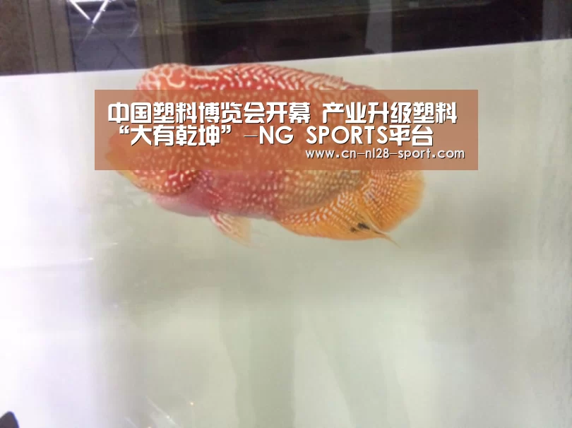 中国塑料博览会开幕 产业升级塑料“大有乾坤”-NG SPORTS平台(图1) 南宫体育官网
